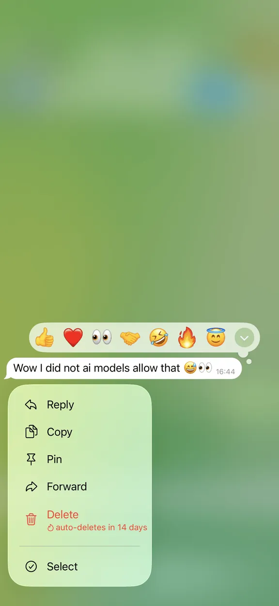 Message: surprise that the model allowed the prompt